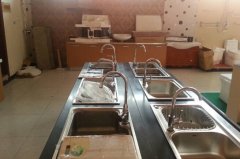 <b>由于它绿色环保并且速</b>